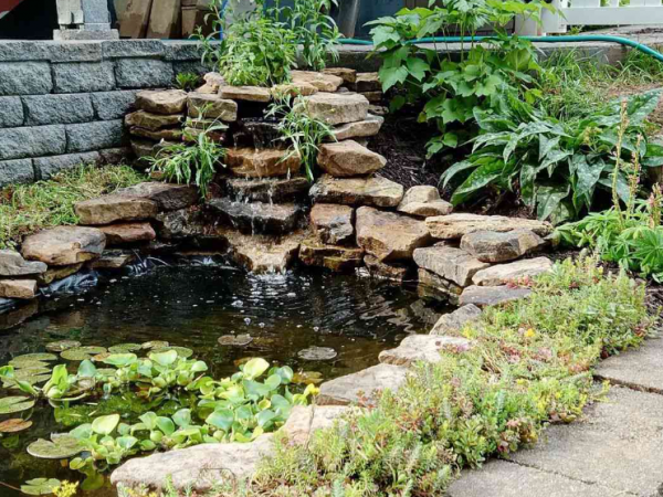 Taman dengan kolam ikan dan air terjun